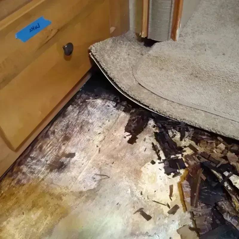 Best Wood Floor Water Damage Service in Cleveland, OK